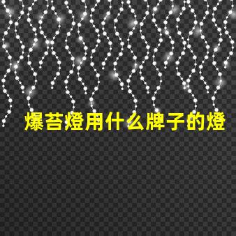 爆苔燈用什么牌子的燈珠好