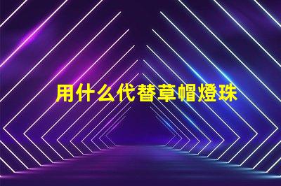 用什么代替草帽燈珠