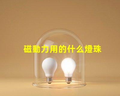 磁動力用的什么燈珠