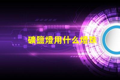 礦鹽燈用什么燈珠