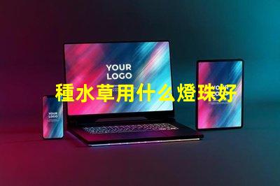 種水草用什么燈珠好