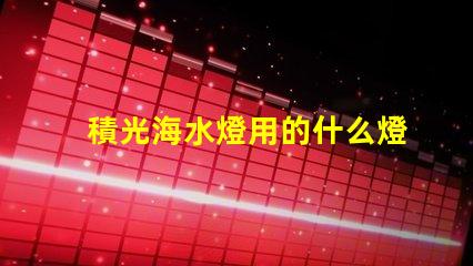 積光海水燈用的什么燈珠