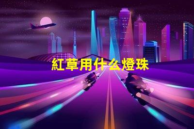 紅草用什么燈珠