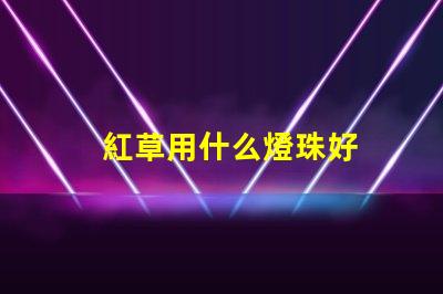紅草用什么燈珠好