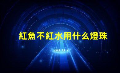 紅魚不紅水用什么燈珠