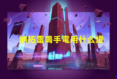 納拓雷鳴手電用什么燈珠