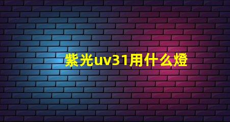 紫光uv31用什么燈珠