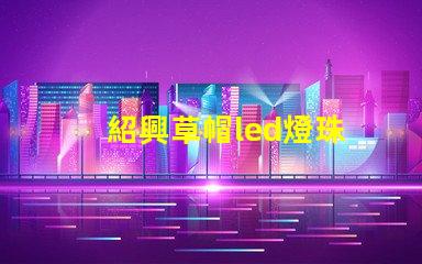 紹興草帽led燈珠