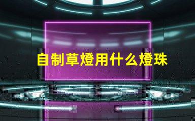 自制草燈用什么燈珠