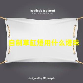 自制草缸燈用什么燈珠好