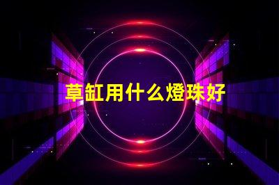 草缸用什么燈珠好
