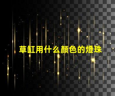 草缸用什么顏色的燈珠