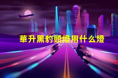 華升黑豹頭燈用什么燈珠