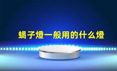 蝎子燈一般用的什么燈珠
