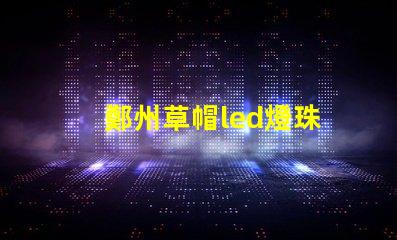 鄭州草帽led燈珠