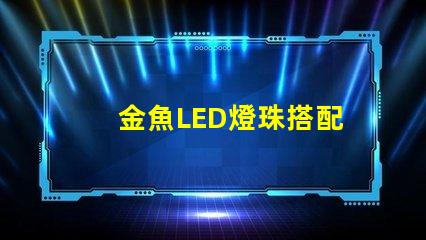 金魚LED燈珠搭配