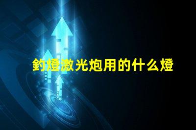 釣燈激光炮用的什么燈珠