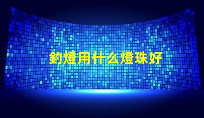 釣燈用什么燈珠好