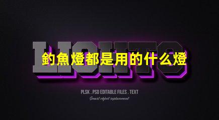 釣魚燈都是用的什么燈珠