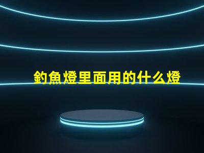 釣魚燈里面用的什么燈珠