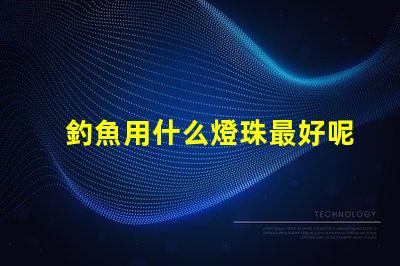釣魚用什么燈珠最好呢