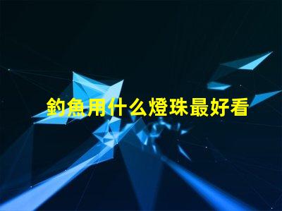 釣魚用什么燈珠最好看
