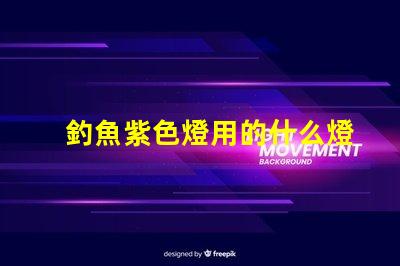釣魚紫色燈用的什么燈珠