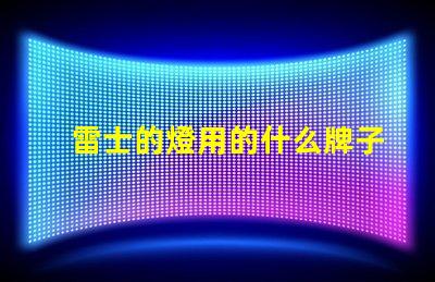 雷士的燈用的什么牌子燈珠