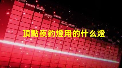 頂點夜釣燈用的什么燈珠