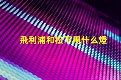 飛利浦和松下用什么燈珠
