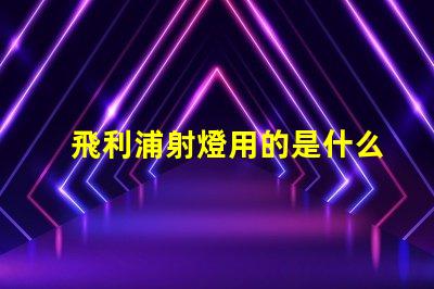 飛利浦射燈用的是什么燈珠