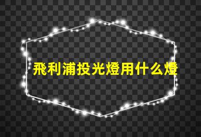 飛利浦投光燈用什么燈珠