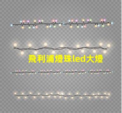 飛利浦燈珠led大燈