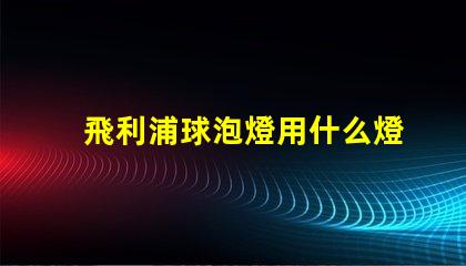 飛利浦球泡燈用什么燈珠