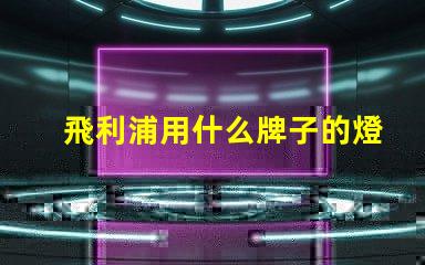飛利浦用什么牌子的燈珠