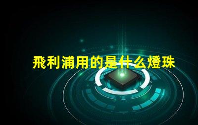 飛利浦用的是什么燈珠