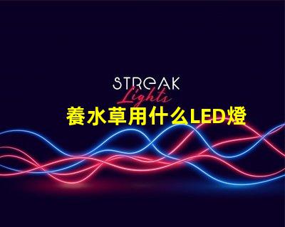 養水草用什么LED燈珠