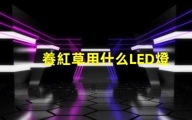 養紅草用什么LED燈珠