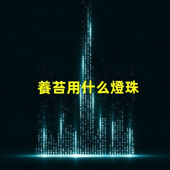 養苔用什么燈珠