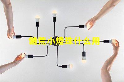 饑荒小燈珠什么用