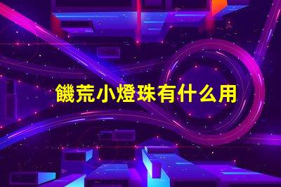饑荒小燈珠有什么用
