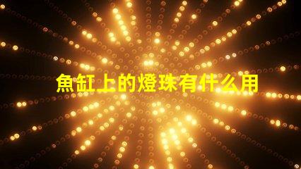 魚缸上的燈珠有什么用