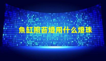 魚缸照苔燈用什么燈珠
