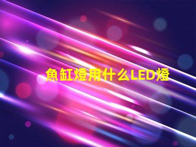 魚缸燈用什么LED燈珠
