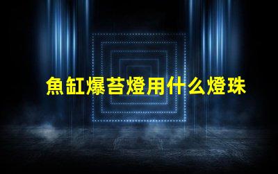 魚缸爆苔燈用什么燈珠
